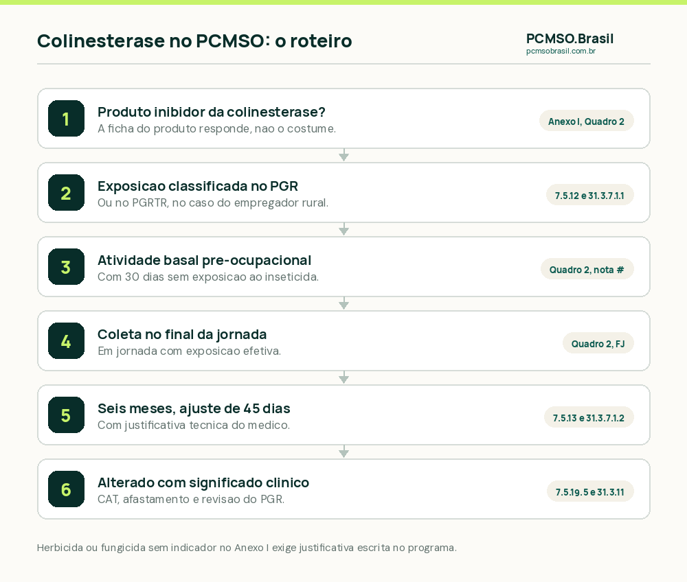 Roteiro da colinesterase no PCMSO: verificar se o produto é inibidor da colinesterase, exposição classificada no PGR ou PGRTR, atividade basal pré-ocupacional com 30 dias sem exposição, coleta no final da jornada, periodicidade de seis meses com ajuste de 45 dias, e resultado alterado com CAT, afastamento e revisão do PGR