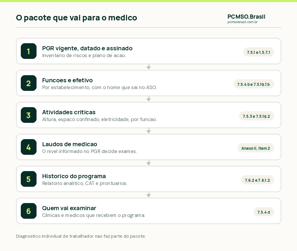 Os seis insumos que a empresa envia ao médico para elaborar o PCMSO: PGR vigente com inventário e plano de ação, funções e efetivo por estabelecimento, descrição das atividades e atividades críticas, resultados de avaliações quantitativas, relatório analítico e prontuários anteriores, e a rede de médicos examinadores
